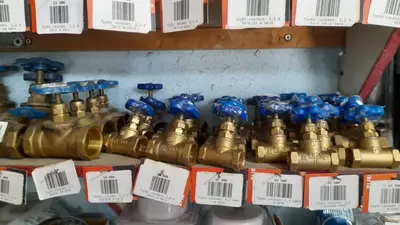 Vinil qanotli guruch - 35 000 so'm / donadan