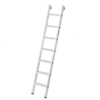 Приставная лестница SP 6014