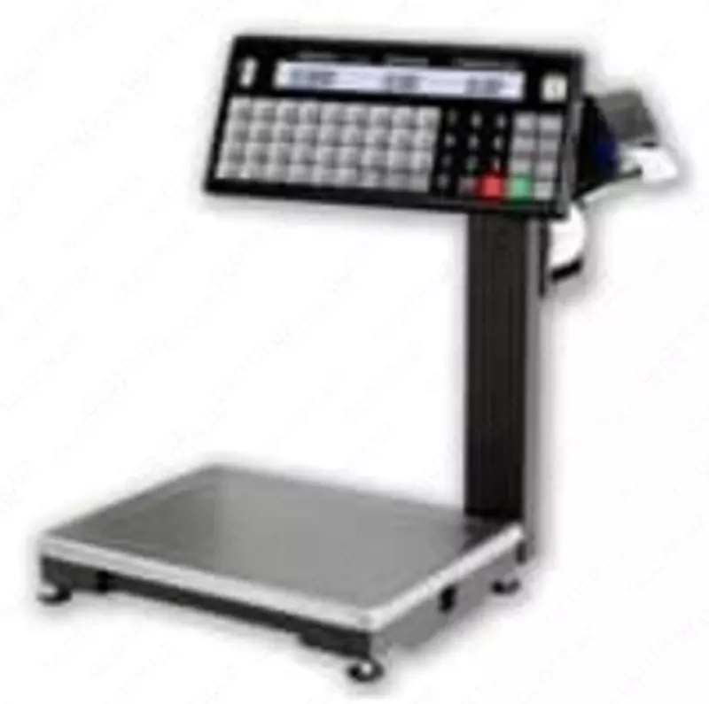 Весы системные с принтером - по запросу