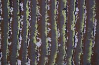 от 2 990 807.5 сум Отделка помещений искусственным кварцевым камнем