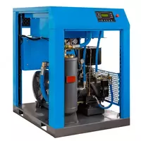 0 кг/час DTS-EKO-4000ЭУ (производит и дозирует гипохлорит натрия на месте)