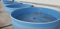 Бассейны и лотки из полипропилена для рыбхоза