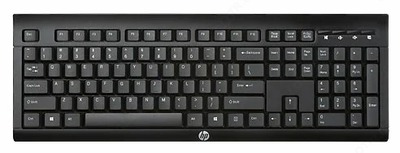Клавиатура HP K2500 E5E78AA Black USB