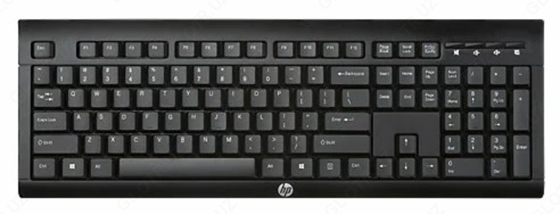 Клавиатура HP K2500 E5E78AA Black USB