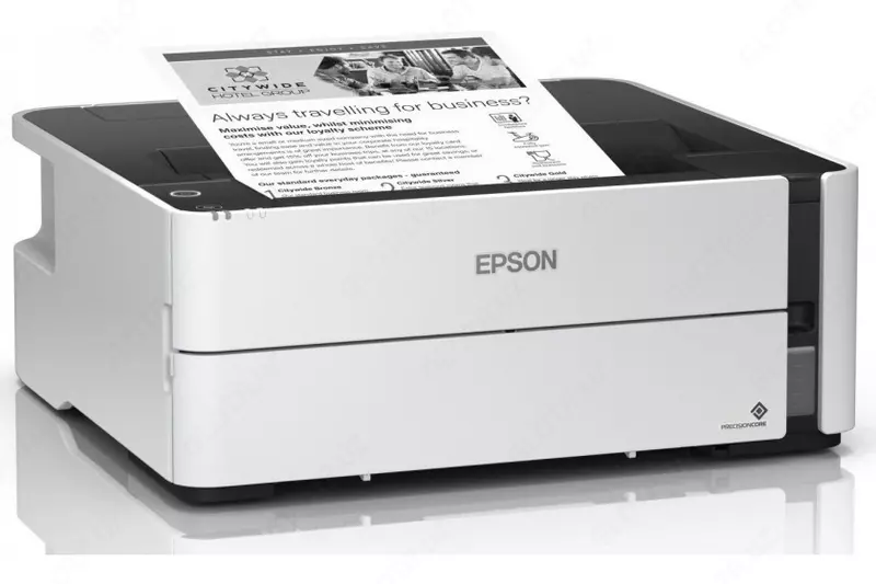 Принтер Epson M1170