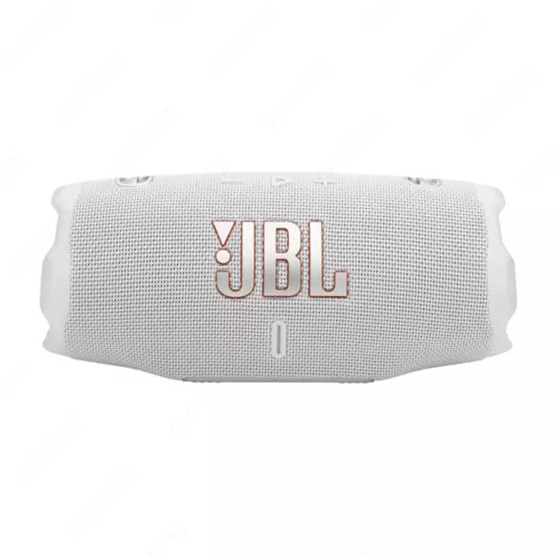 Портативная акустика JBL Charge 6