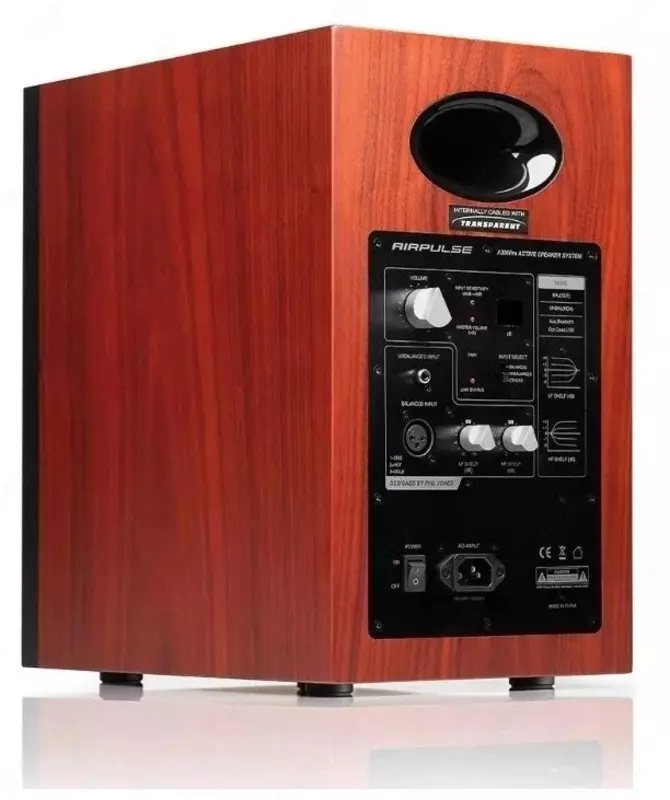  Компьютерные динамики Airpluse A300 Pro - 