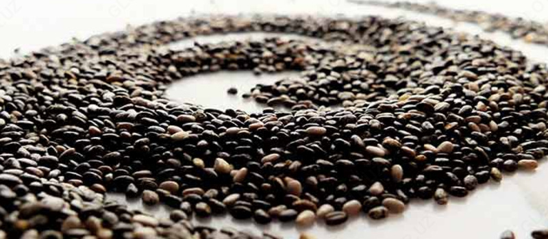 Натуральный источник омега-3 Семена Чиа