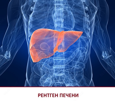 Аювердический сироп для очистки крови и печени Lver Zime