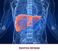 Аювердический сироп для очистки крови и печени Lver Zime - 150 000 сум