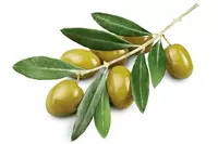 Шампунь Chey c экстрактом оливы - 150 000 сум