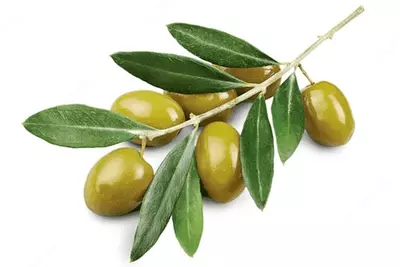 Шампунь Chey c экстрактом оливы