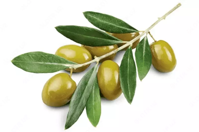 Шампунь Chey c экстрактом оливы