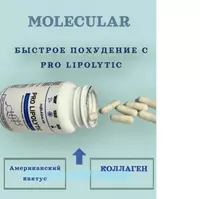 Pro Lipolytic (Про Липолитик) препарат для похудения Только в розницу