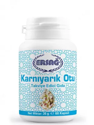 Ersag Flosamen Psyllium – 60 kapsula