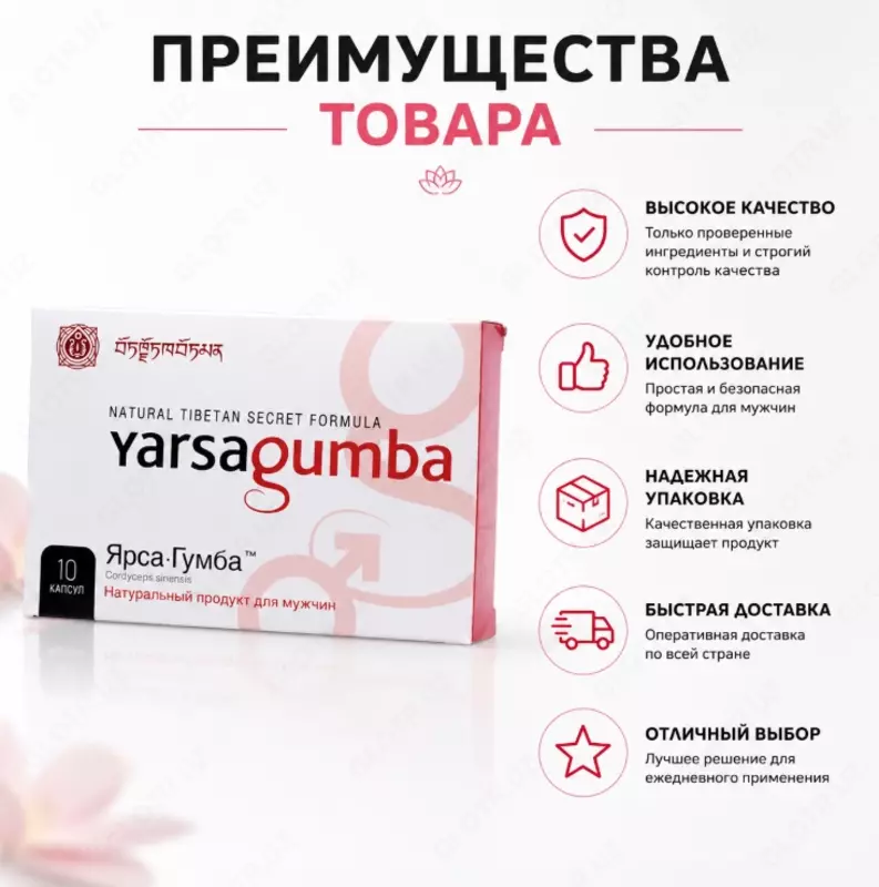 Yarsa Gumba — натуральная пищевая добавка в капсулах