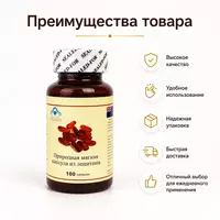 Капсулы «Лецитин» для поддержки памяти  мозга и нервной системы