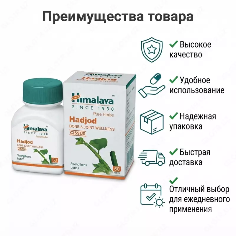 Препарат Хаджод (Hadjod) Himalaya Herbals  60 таблеток