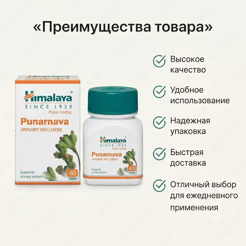 Punarnava (Punarnava) kapsulalari  60 tabletka