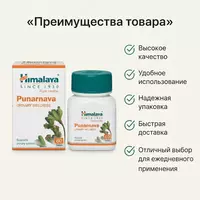 Punarnava (Punarnava) kapsulalari  60 tabletka
