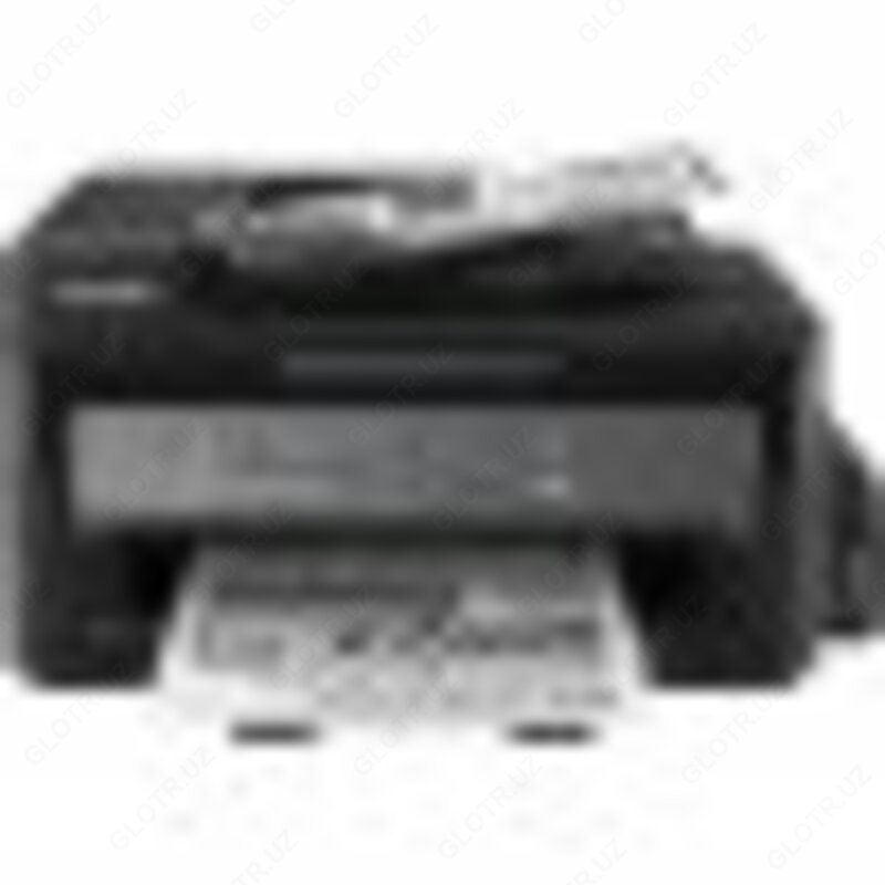 EPSON M200