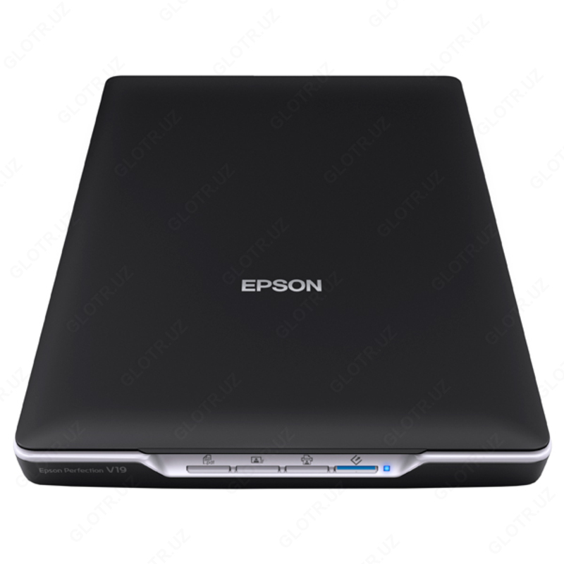 Планшетный сканер EPSON V19