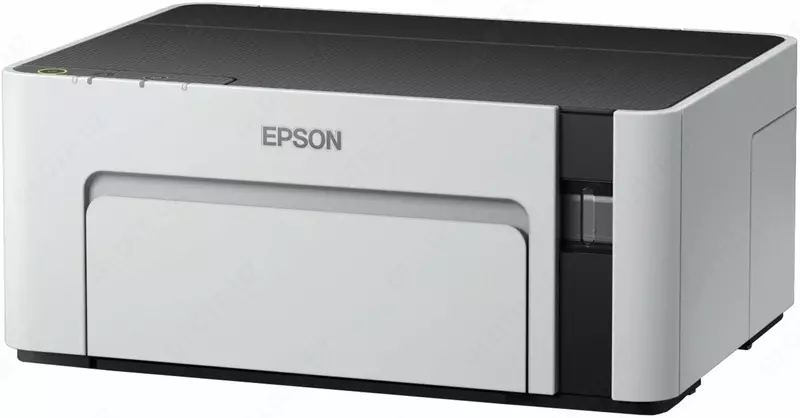EPSON M1100
