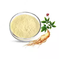 Ginseng ekstrakti - по запросу