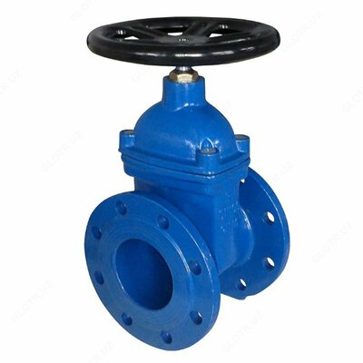 Задвижка чугунная Ду 50 PN 16 EPDM фланцевая с обрезиненным клином