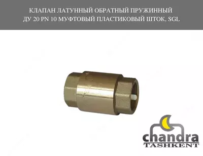 202 160 so'm / dona Клапан обратный пружин латунный муфтовый DN40 PN16