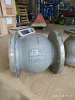 от {0} сум Клапан обратный 19с63нж стальной DN80 PN40 поворотный фланцевый