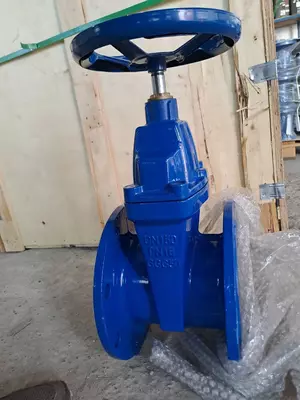 Задвижка чугунная Ду 80 PN 16 EPDM фланцевая с обрезиненным клином CHANDRA TASHKENT