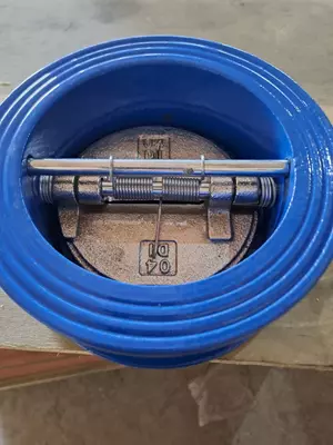 Клапан обратный DN100 PN16 чугунный 2-диск. межфланцевый