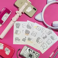  Набор наклеек Kawaii Peach & Goma  А6  9л  артикул STP310 CHANDRA TASHKENT