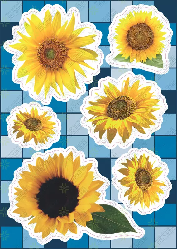 артикул STP222 - от {0} сум