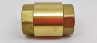   Клапан обратный латунный DN 15 PN10 м-м пружинный/пласт. шток SGL
