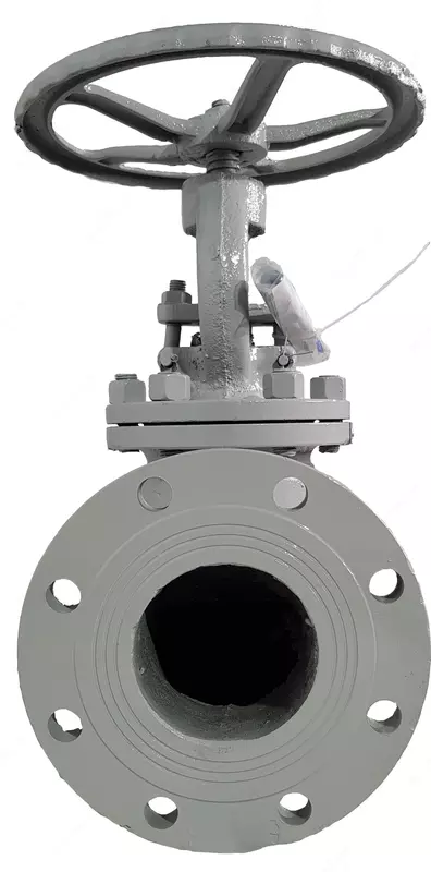 {0} so'mdan Вентиль запорный стальной фланцевый 15с65нж DN100 PN16