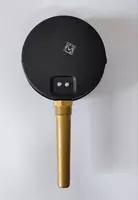 Термометр ТБП100/100/Р-(0-120)С Беларусь Оптом и розница