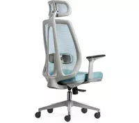  Carlos ofis kreslosi - 