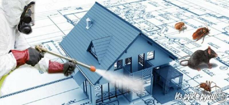 Профессиональная дезинсекция