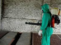   Профессиональная дезинсекция