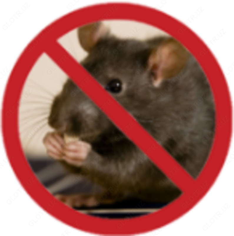 Уничтожение грызунов