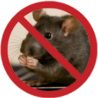 Уничтожение грызунов