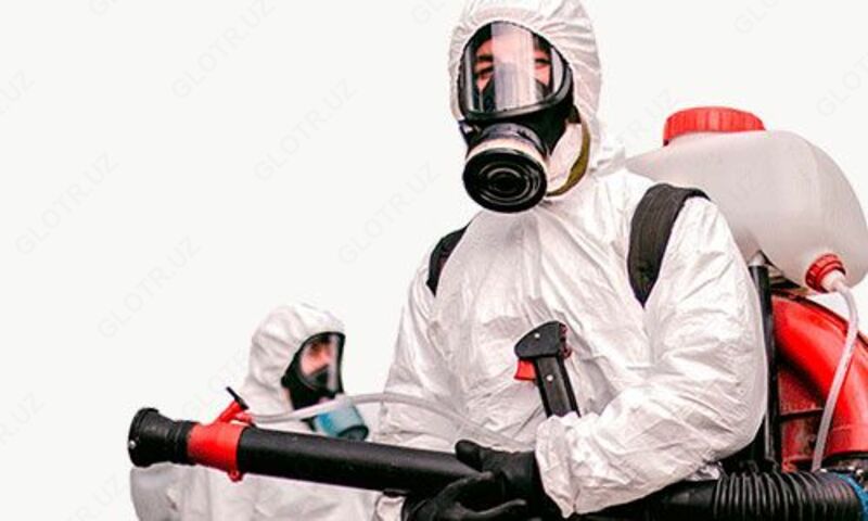 Дезинсекция