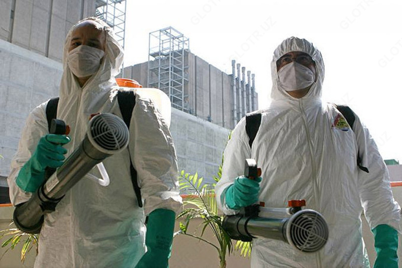  Обработка от мух и комаров - 