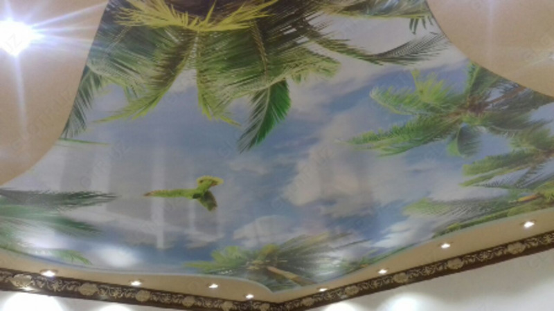 Потолки с УФ фотопечатью EVROPOTOLKI.UZ