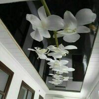 Натяжной потолок №12 - 180 000 сум