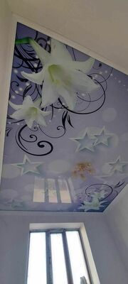 №14 cho'zilgan ship