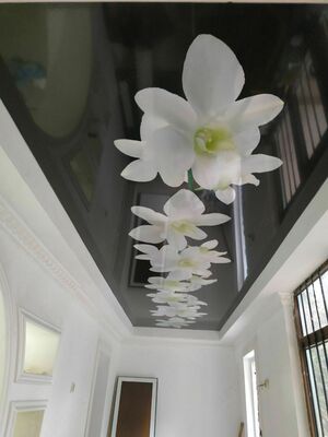 Ekologik hal qiluvchi bosma shiftlar (9-modda)