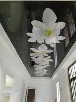 Ekologik hal qiluvchi bosma shiftlar (9-modda)